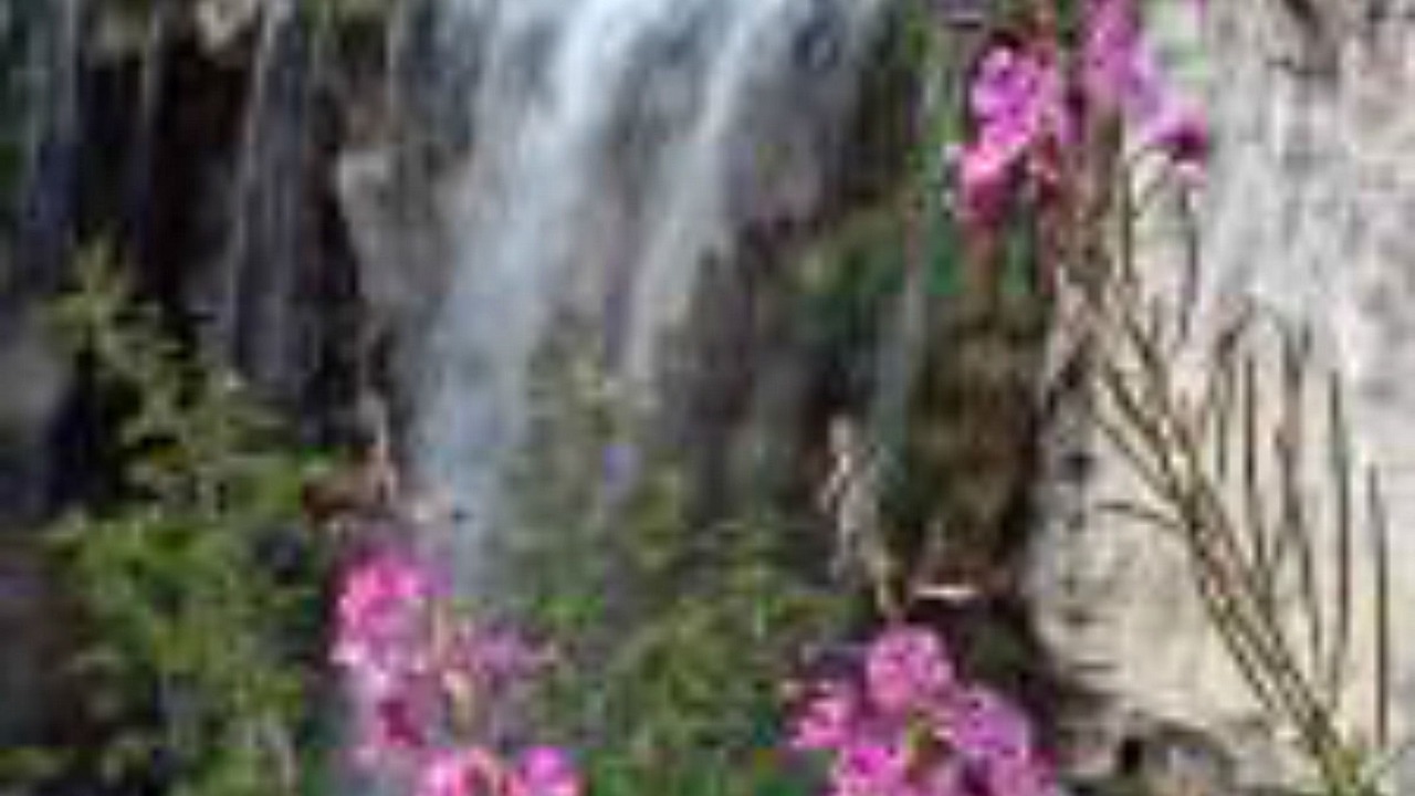 Photo of Others in La Pine