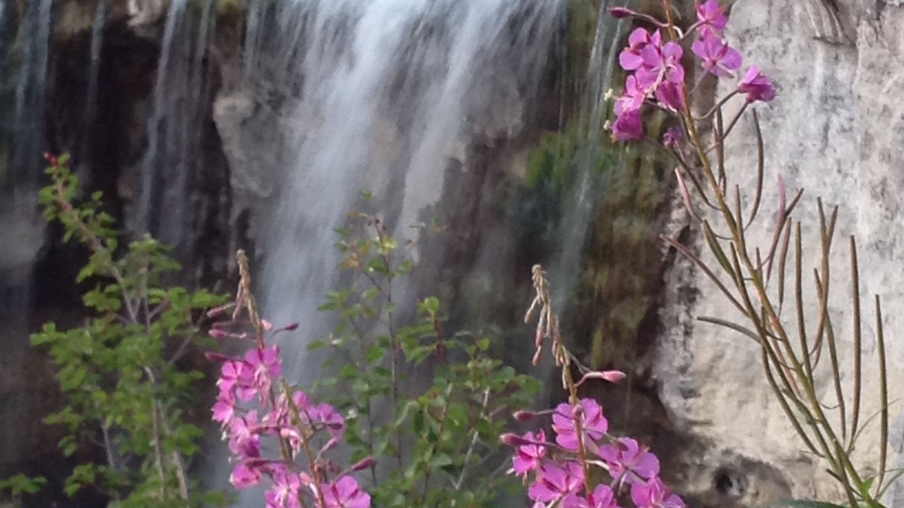 Photo of Outdoor in La Pine