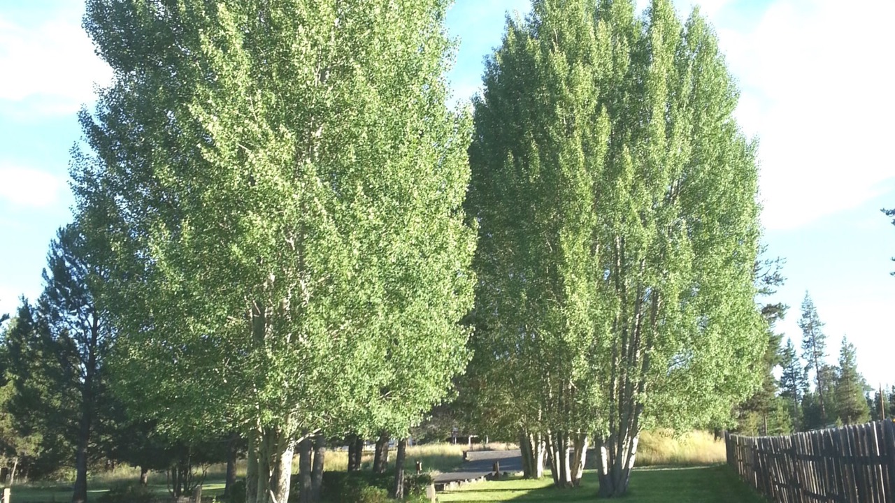 Photo of Others in La Pine