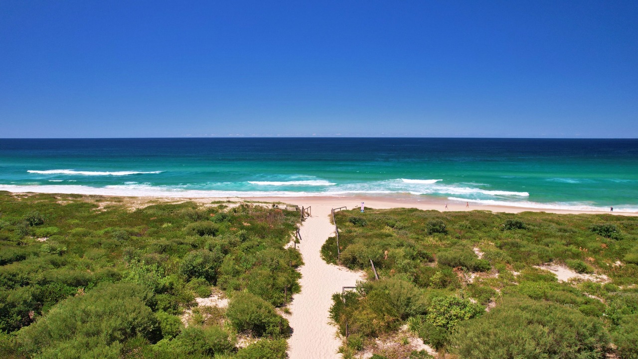 Photo of Others in Magenta Shores