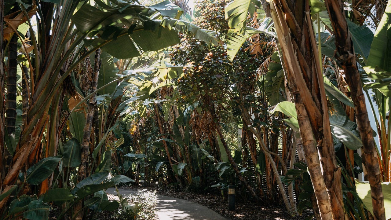 Photo of Outdoor in Magenta Shores