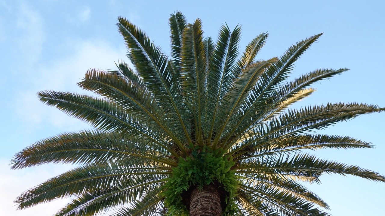 Photo of Outdoor in Jupiter