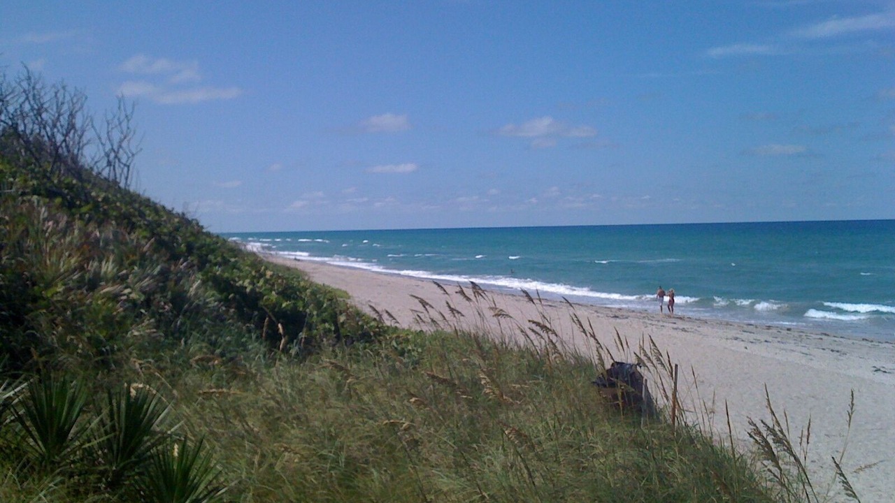 Photo of Others in Jupiter