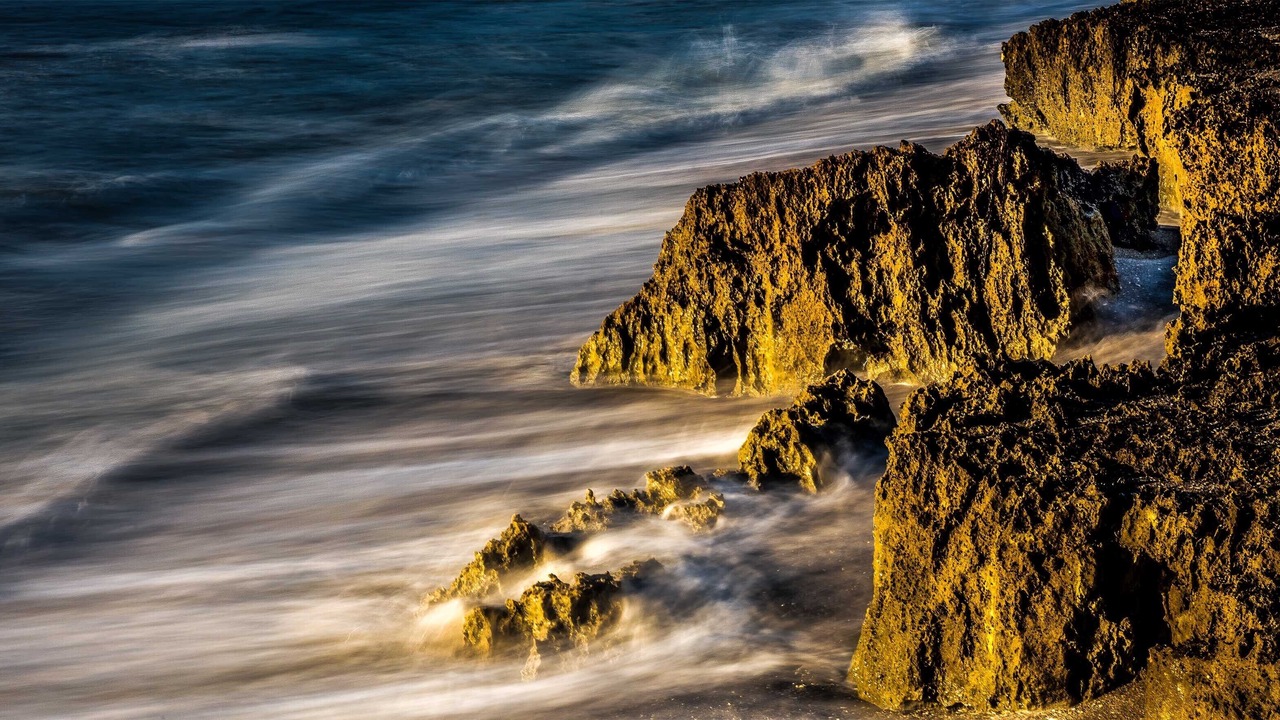 Photo of Others in Jupiter