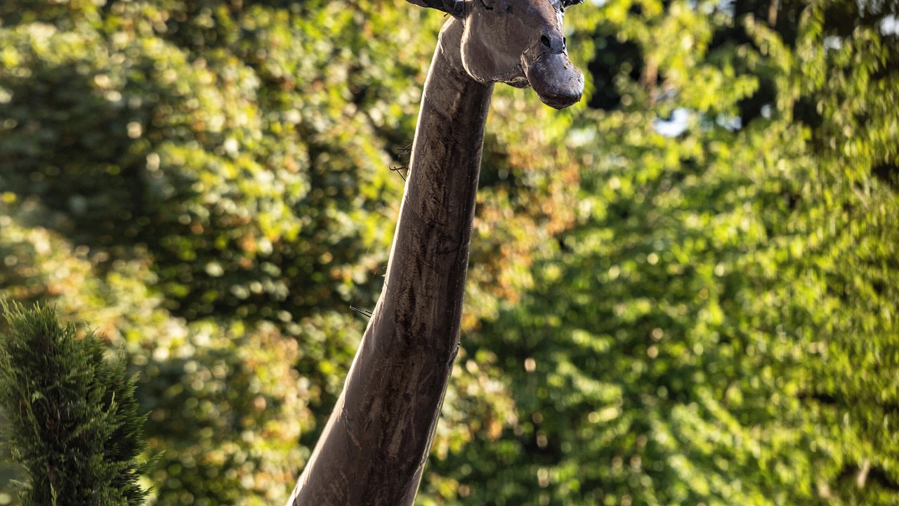 Photo of Outdoor in Cadboll