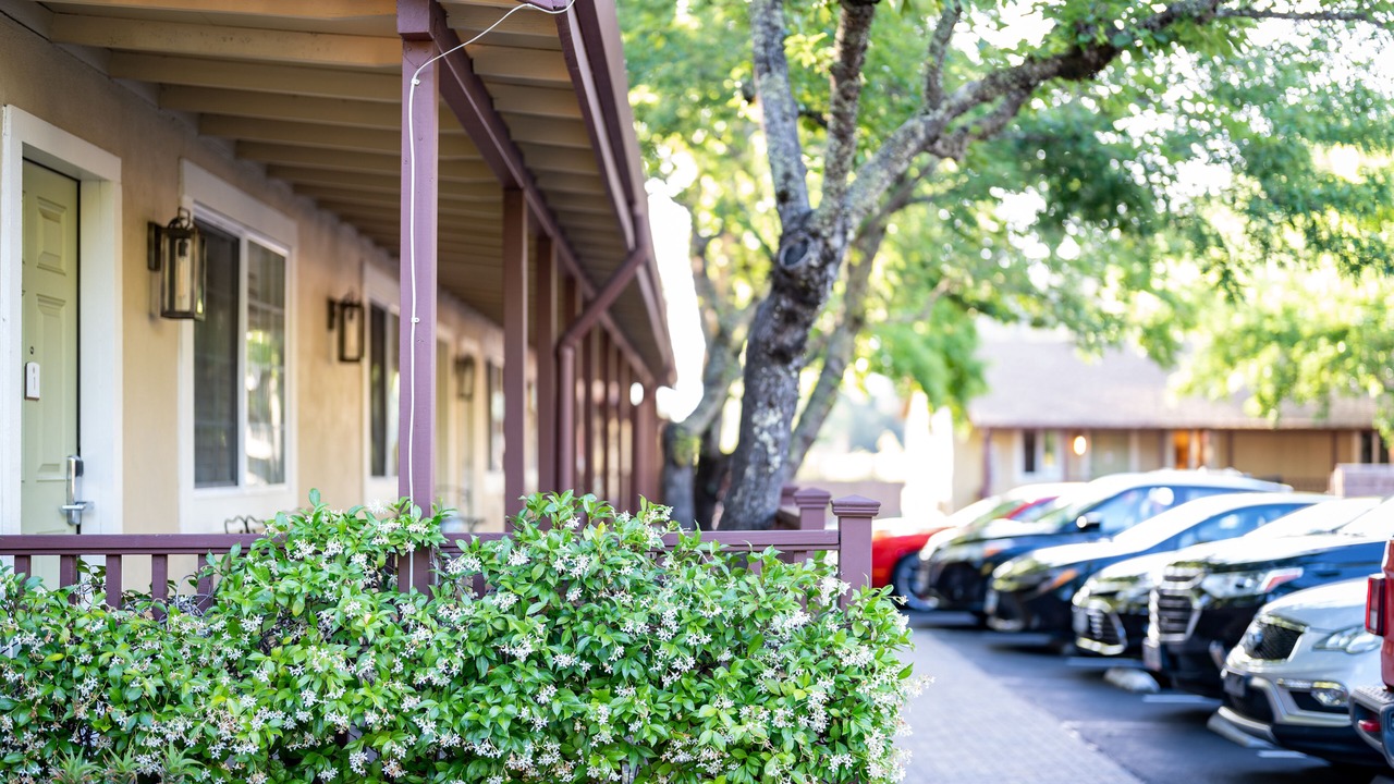 Photo of Outdoor in Calistoga