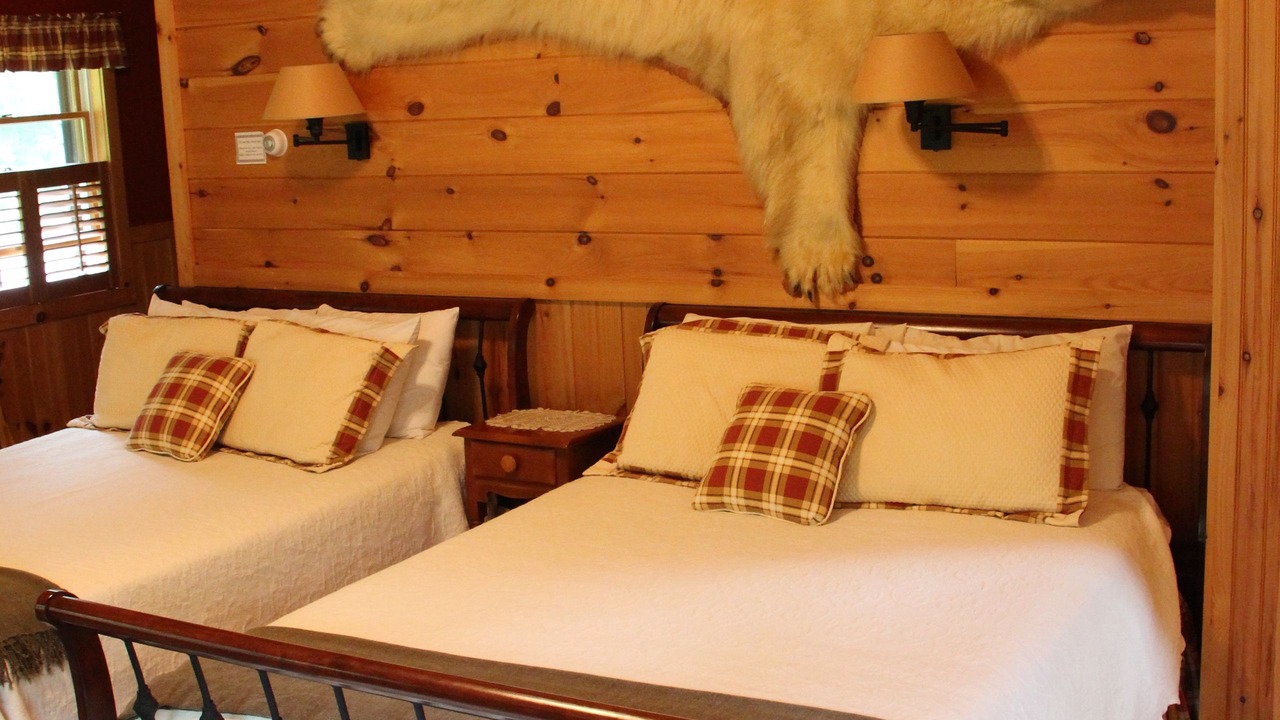 Photo of Livingroom in Saranac Lake