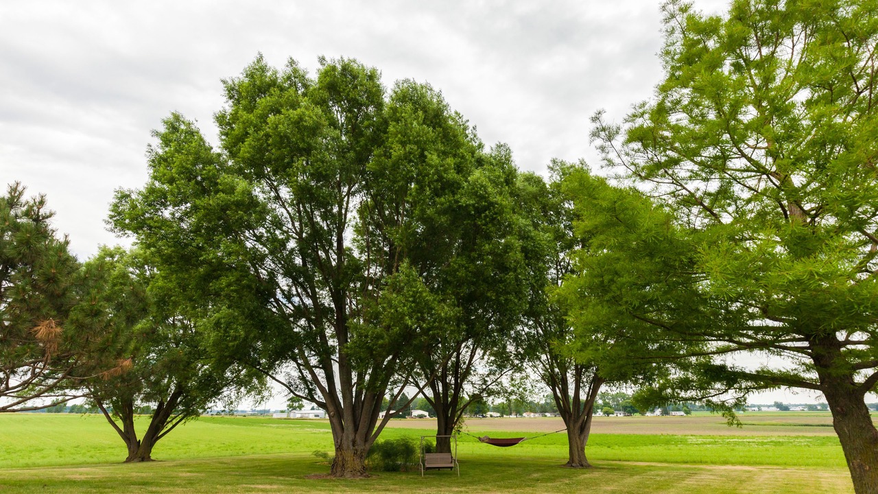 Photo of Outdoor in Bremen