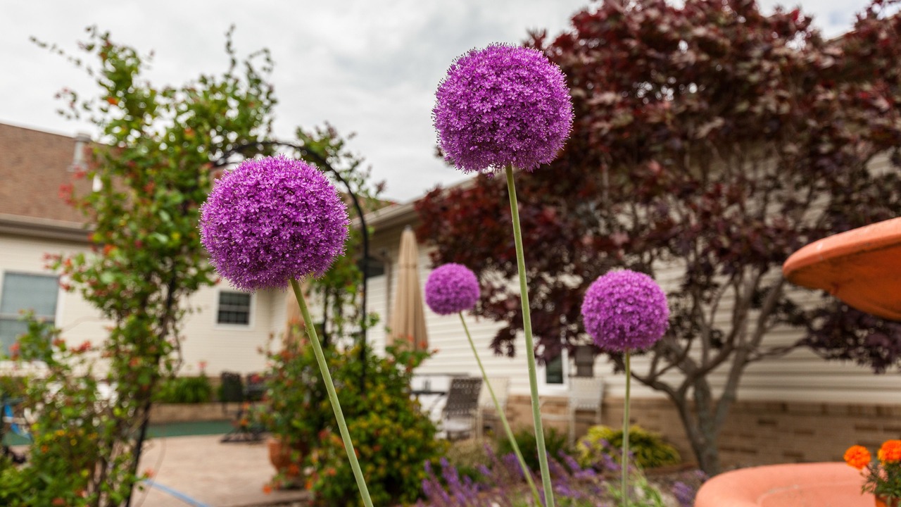 Photo of Outdoor in Bremen