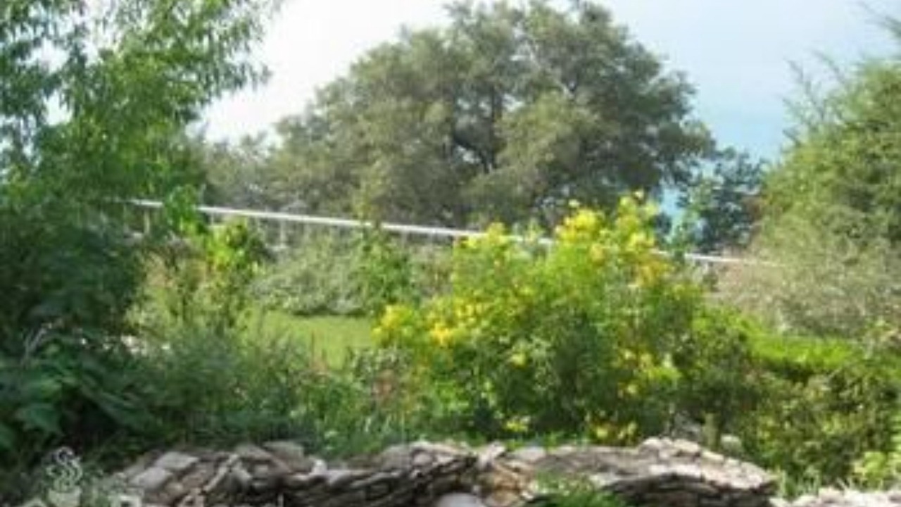 Photo of Others in Canyon Lake