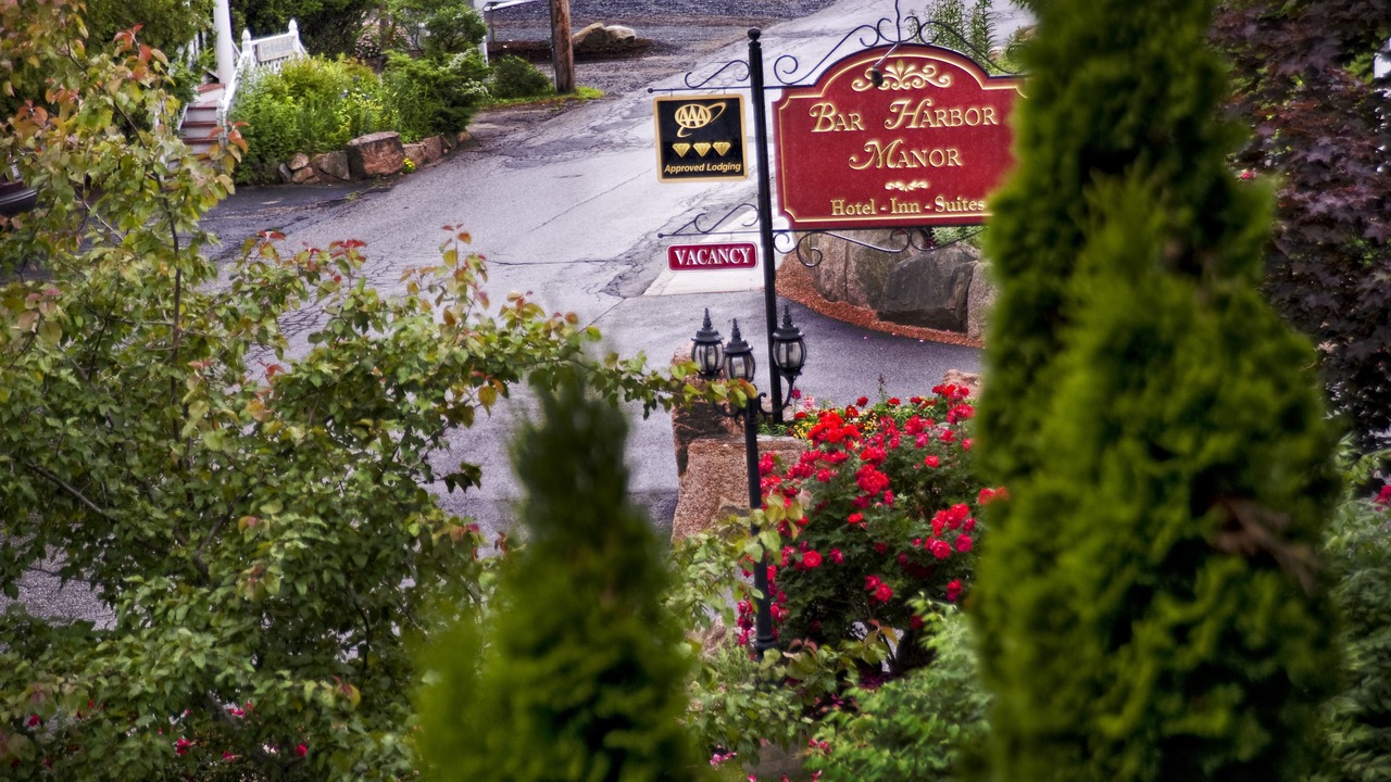 Photo of Others in Bar Harbor