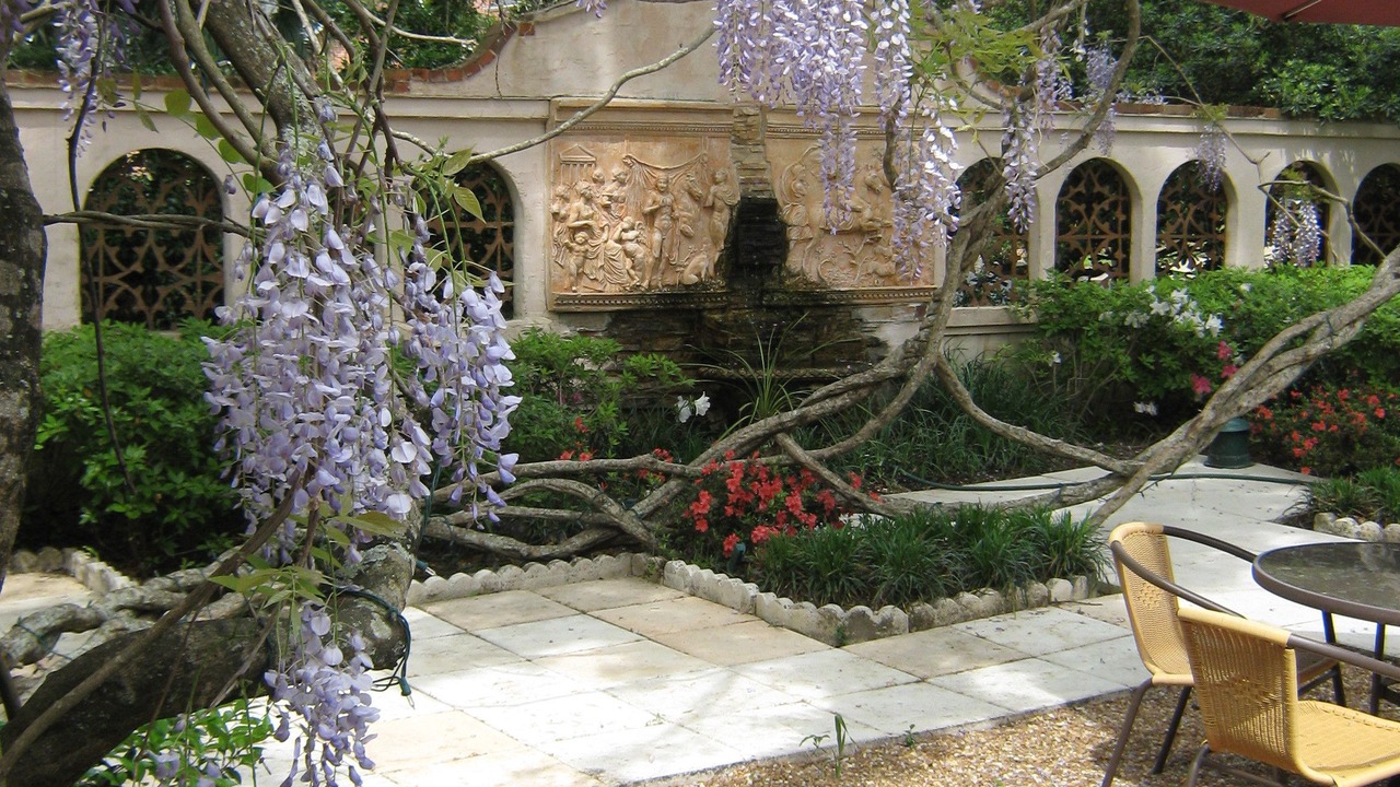 Photo of Others in Monticello