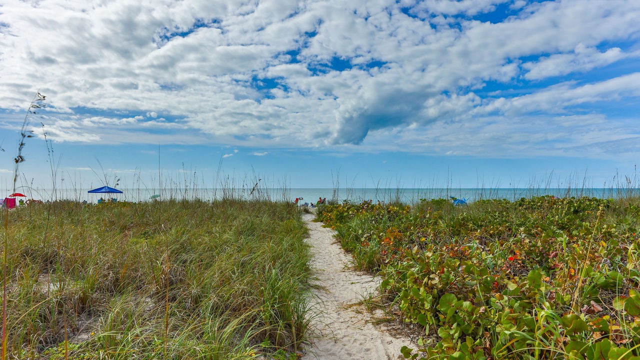 Photo of Outdoor in Nokomis