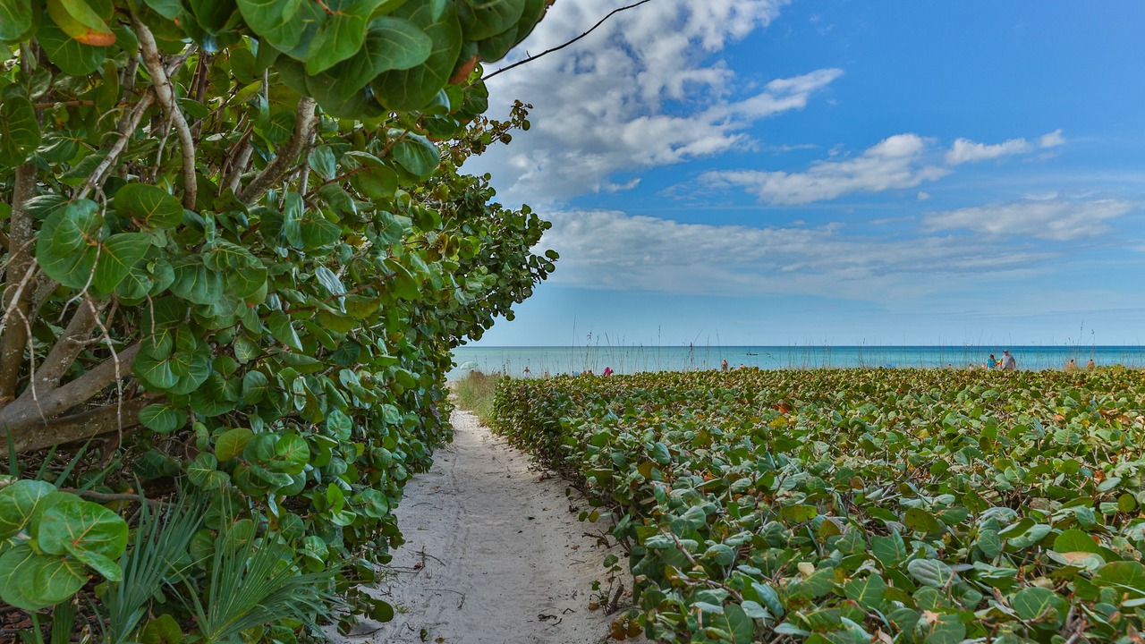 Photo of Outdoor in Nokomis