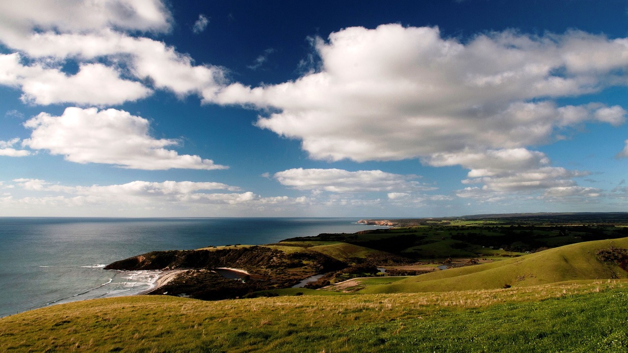 Photo of Others in Duncan