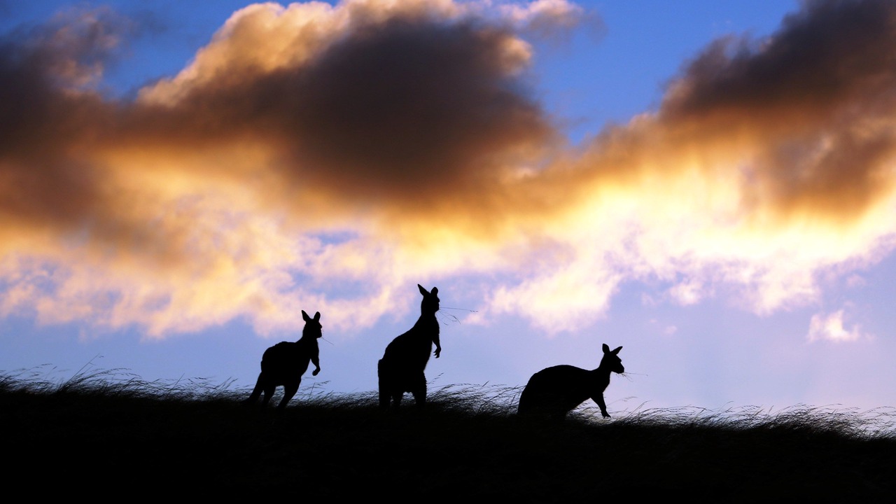 Photo of Bedroom in Duncan