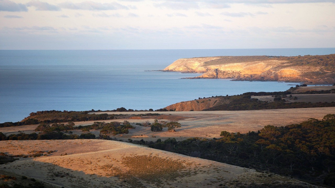 Photo of Bedroom in Duncan
