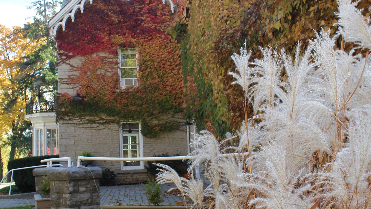 Photo of Outdoor in St. Mary's