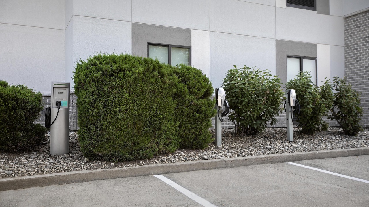 Photo of Outdoor in Waterloo