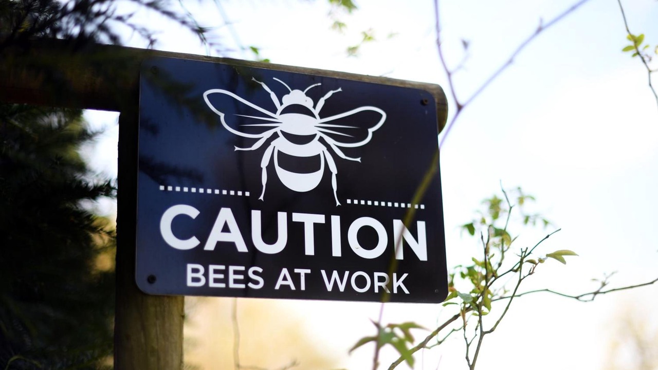 Photo of Outdoor in Stanton St Quintin