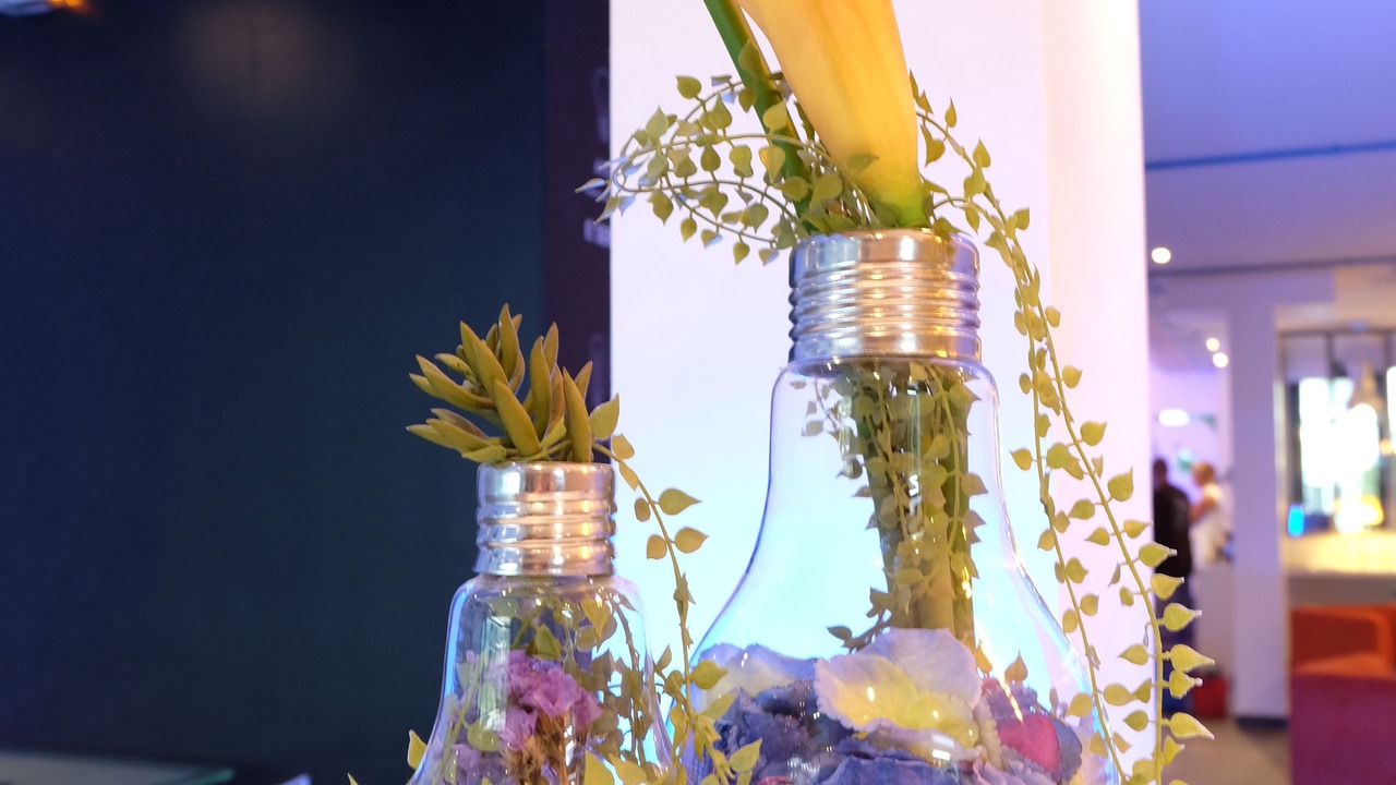 Photo of Others in Malakoff