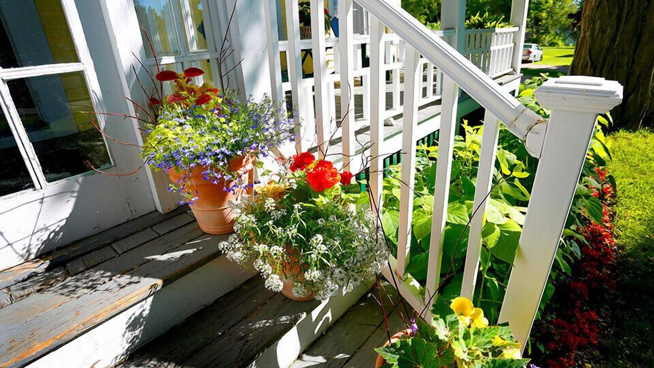 Photo of Outdoor in Freeport