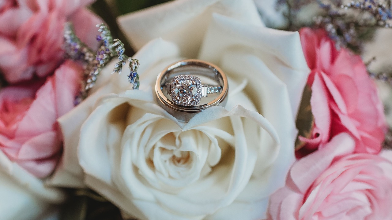 Photo of Others in Rockland