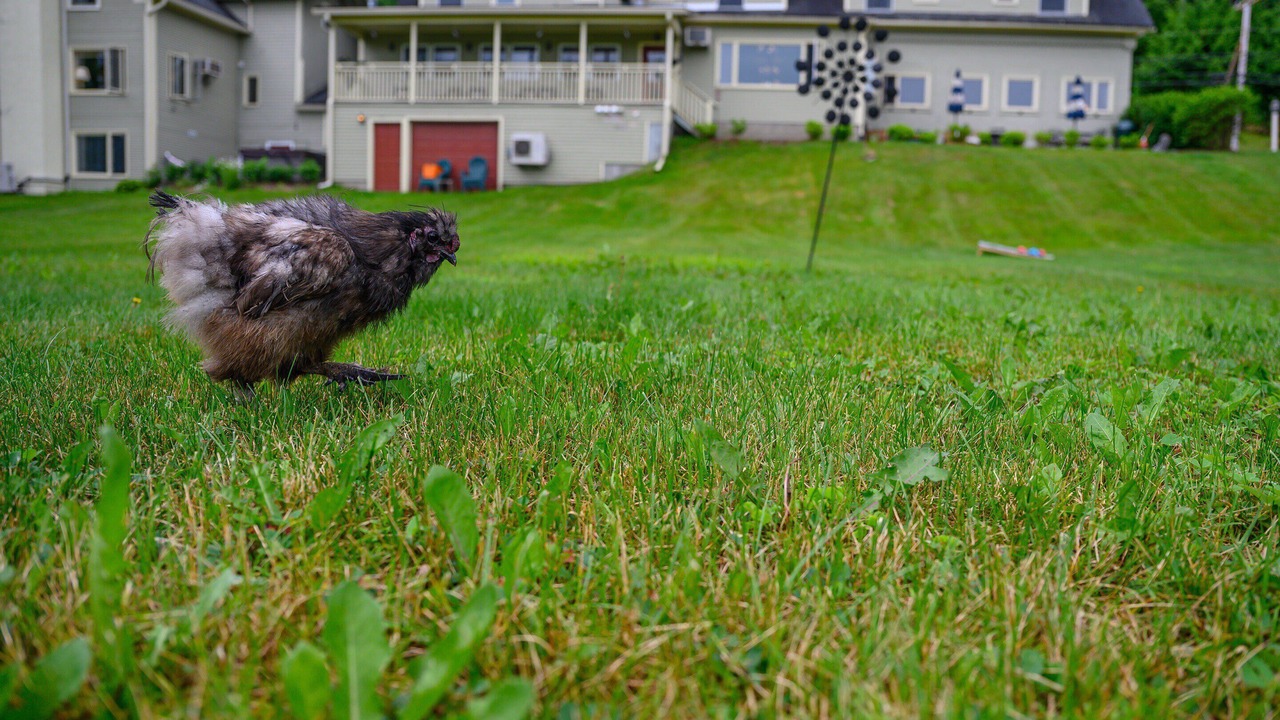 Photo of Outdoor in Stowe