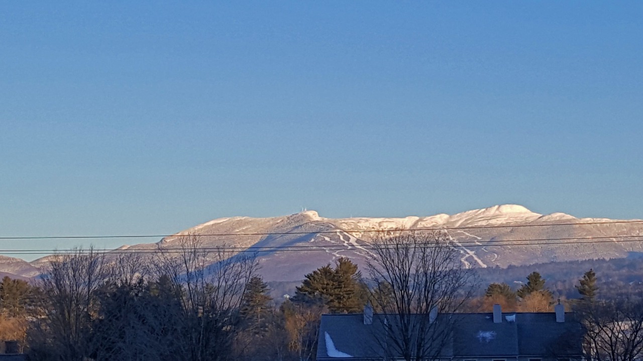 Photo of Others in Stowe