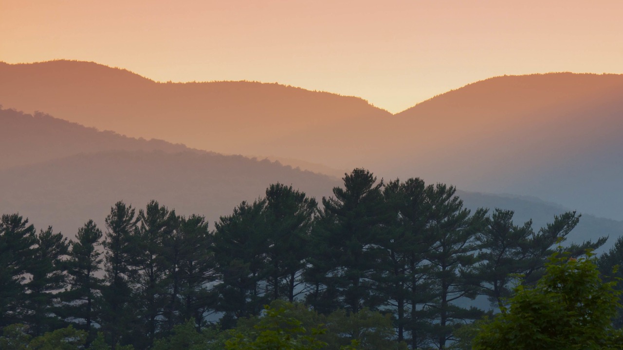 Photo of Others in Stowe