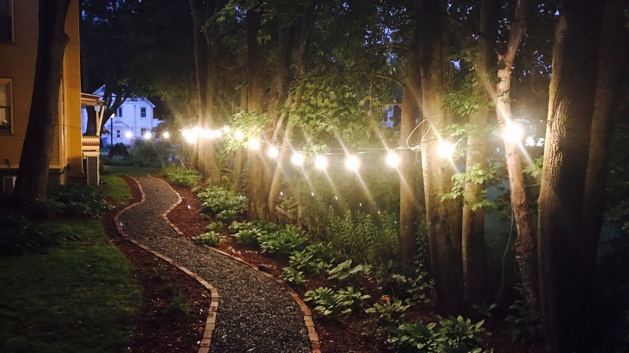 Photo of Outdoor in Hunter