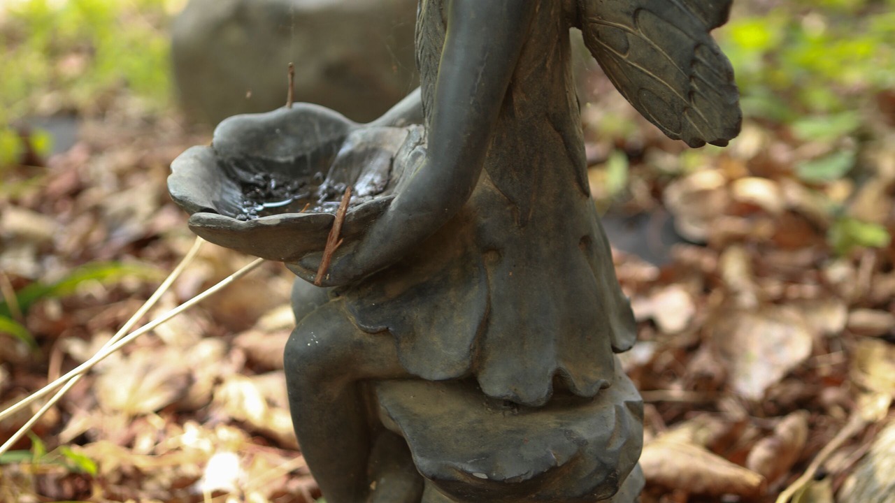 Photo of Outdoor in Independence