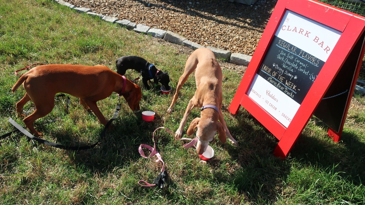Photo of Others in Tenants Harbor