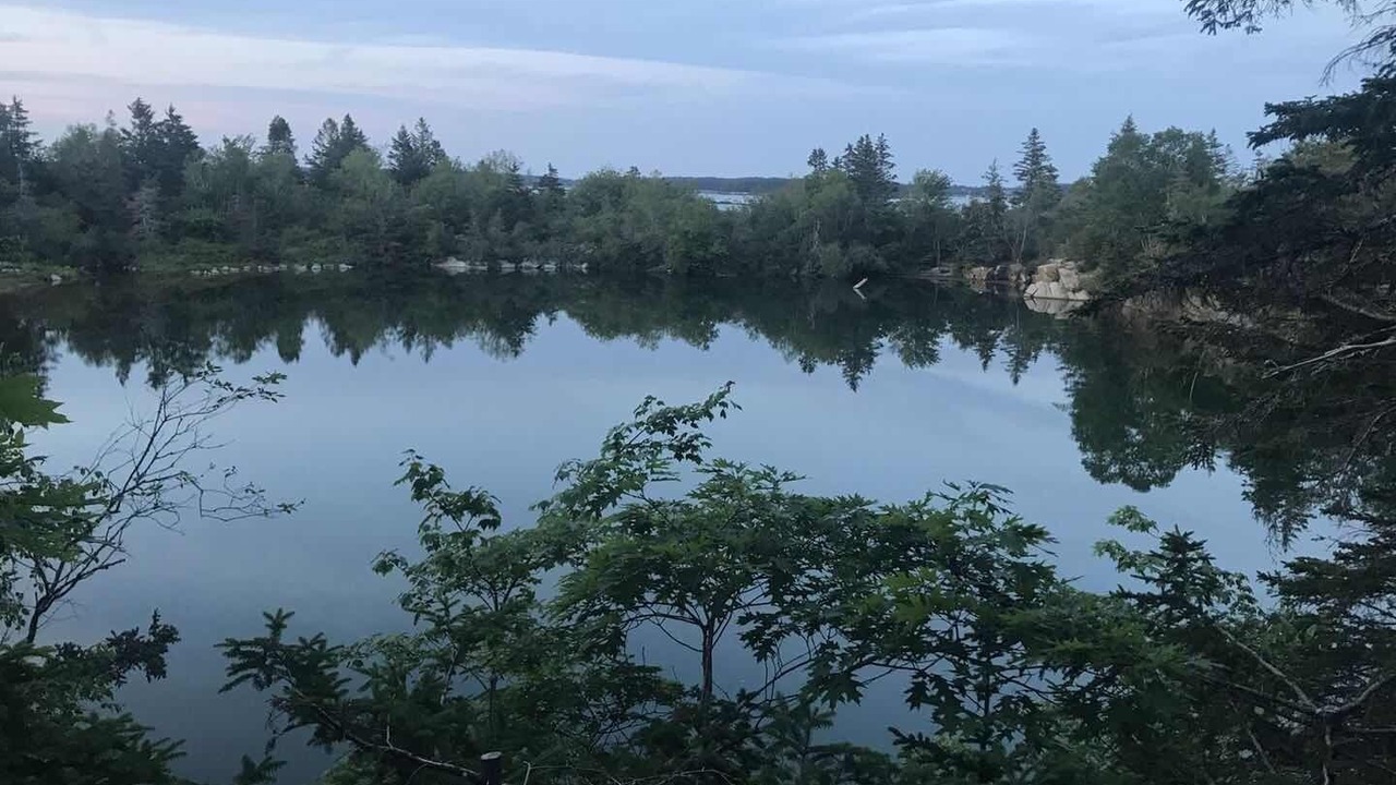 Photo of Others in Tenants Harbor