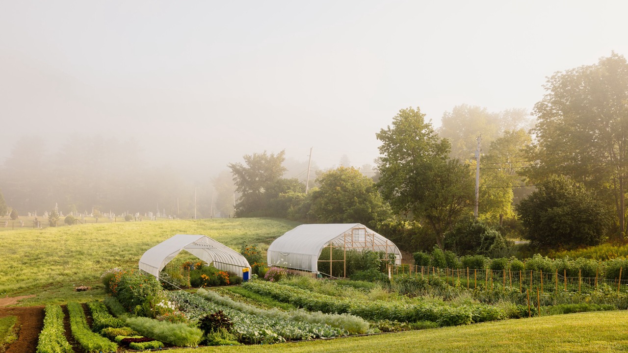 Photo of Outdoor in Sunderland