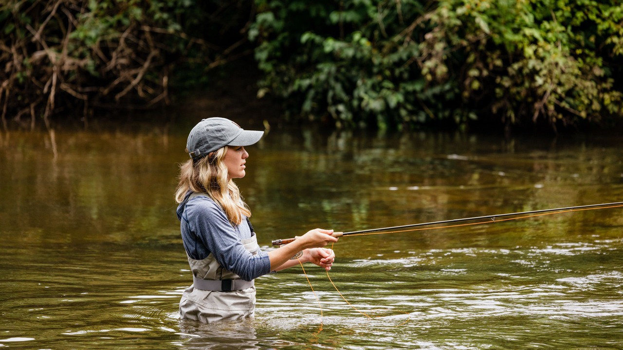 Photo of Others in Sunderland