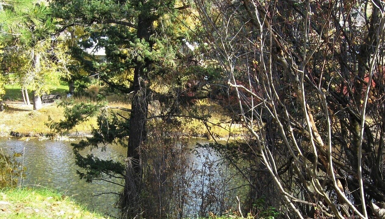 Photo of Outdoor in Winthrop