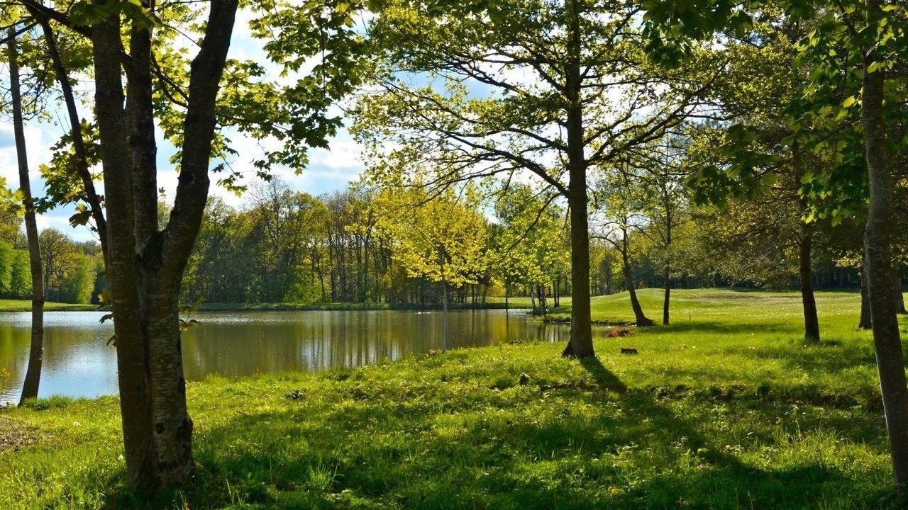 Photo of Others in Chassy