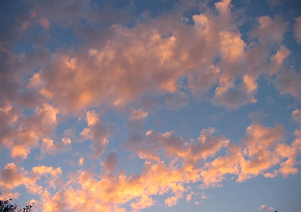 Photo of Others in Suevres