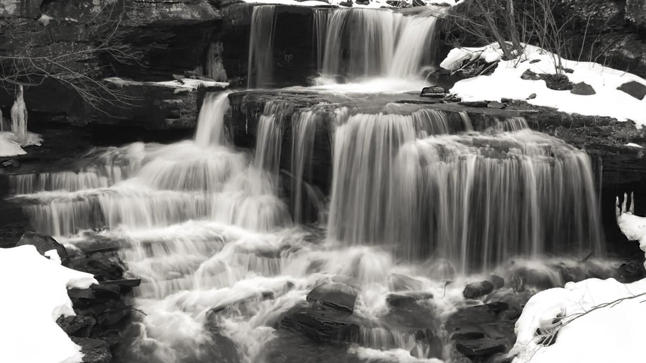 Photo of Others in Starlight