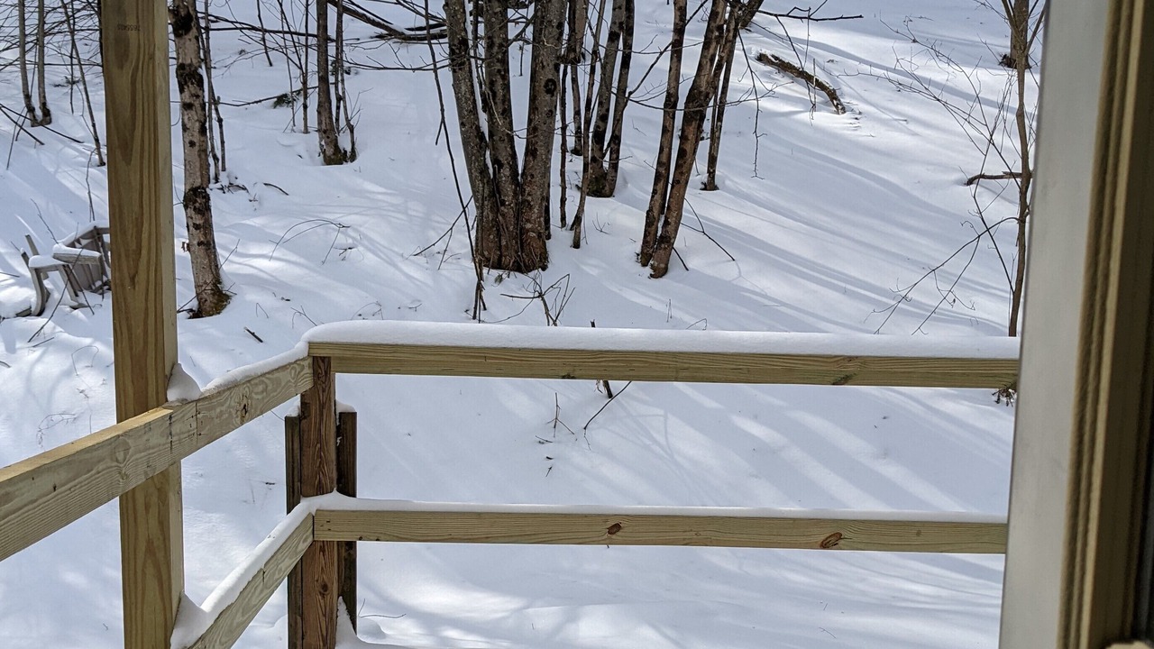 Photo of Others in Starlight