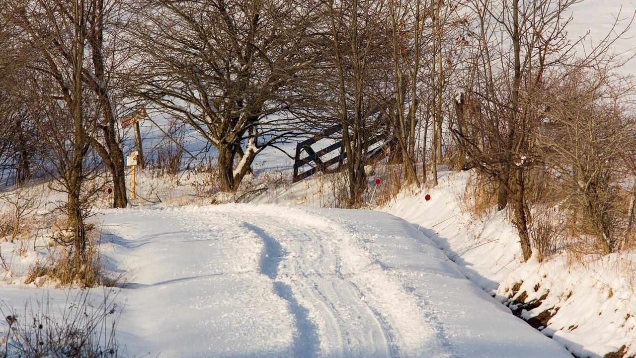 Photo of Outdoor in Starlight