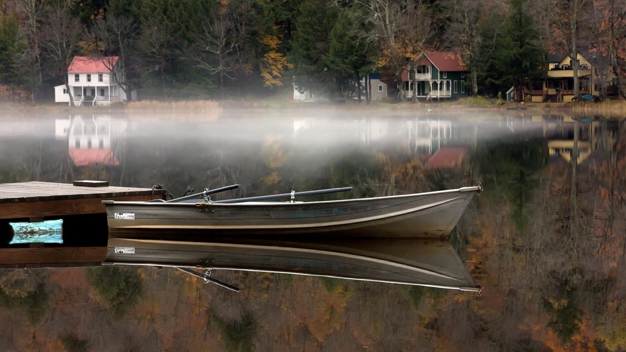 Photo of Others in Starlight