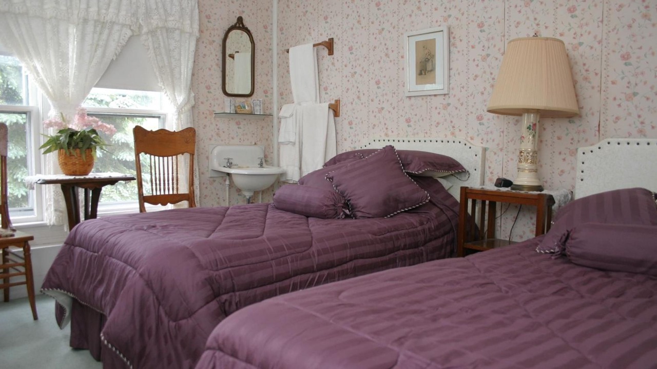 Photo of Others in Starlight