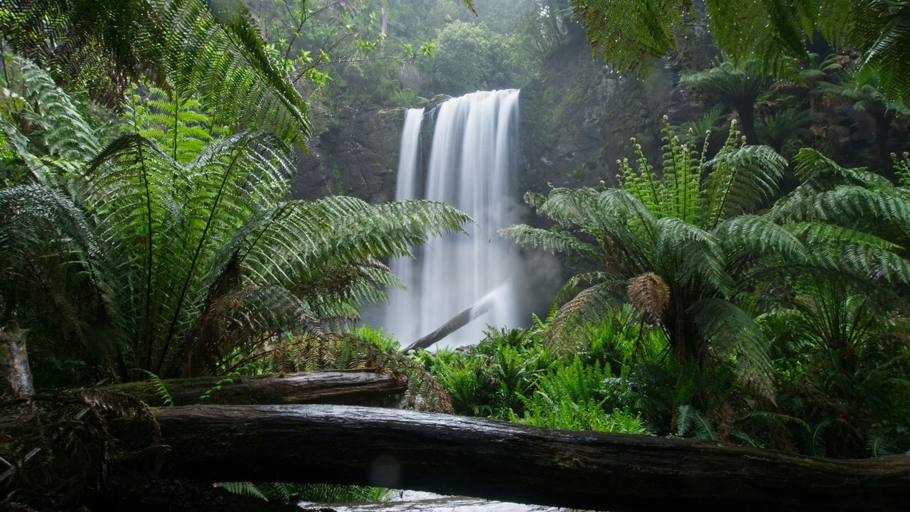 Photo of Others in Apollo Bay
