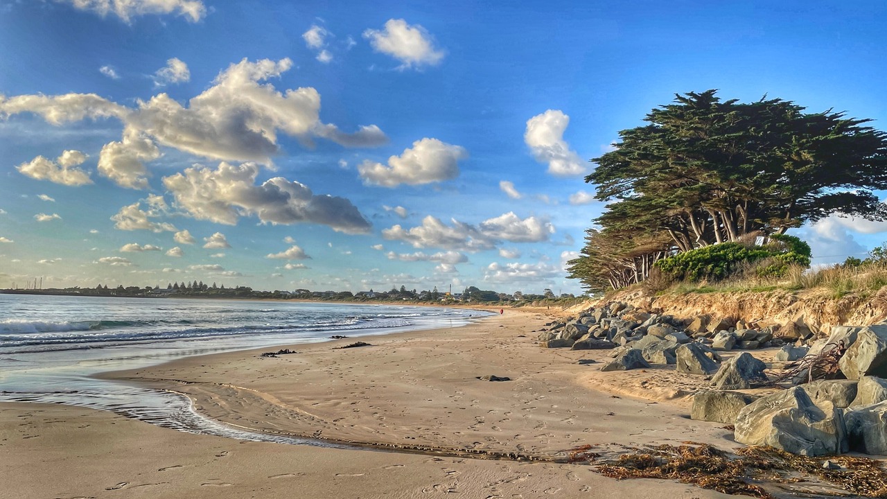 Photo of Others in Apollo Bay