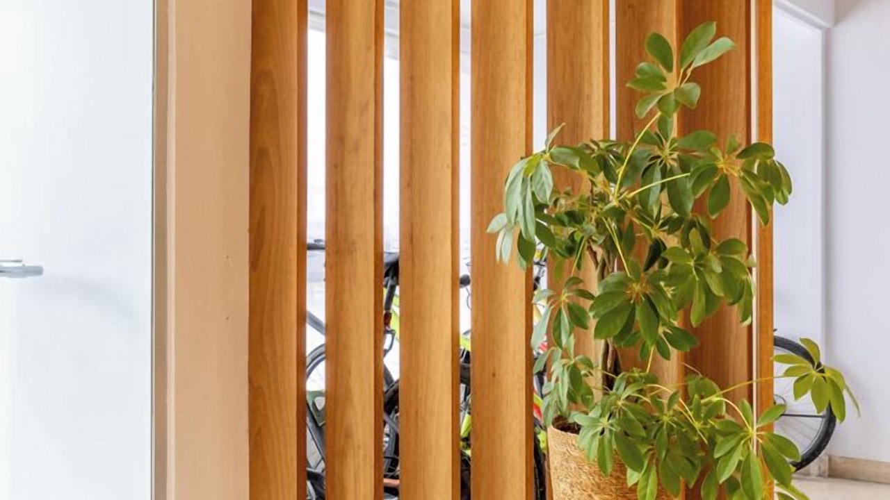 Photo of Others in Bellerive-sur-Allier