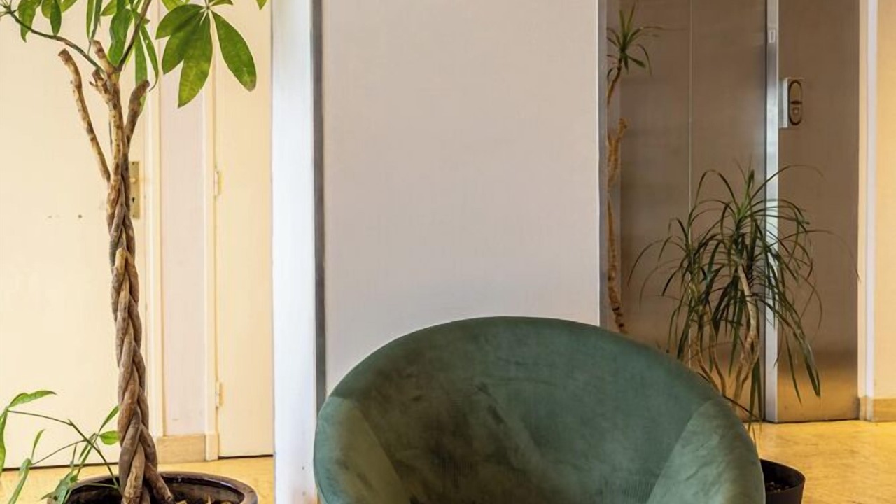 Photo of Others in Bellerive-sur-Allier