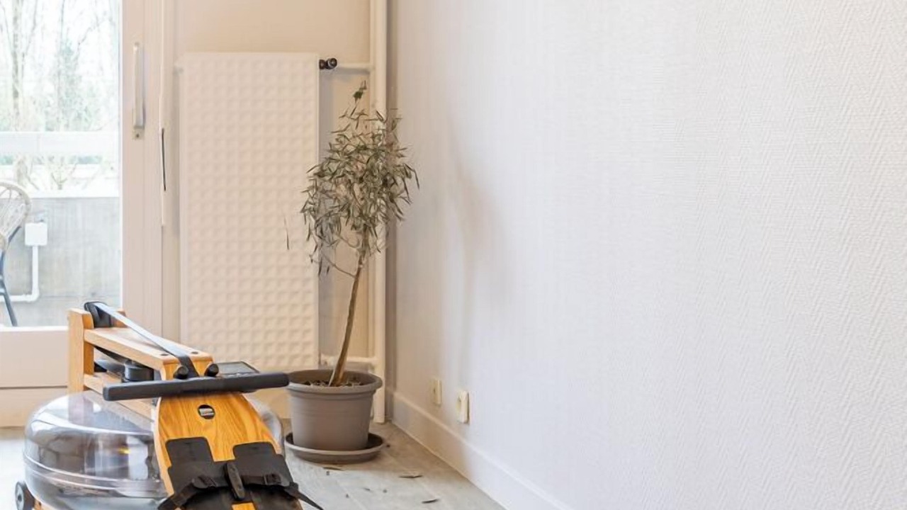 Photo of Others in Bellerive-sur-Allier