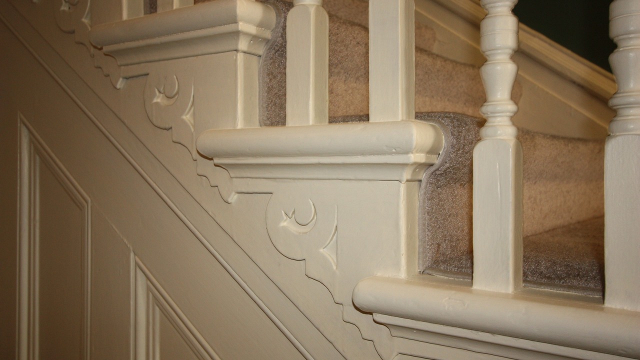 Photo of Others in Downtown St. John's